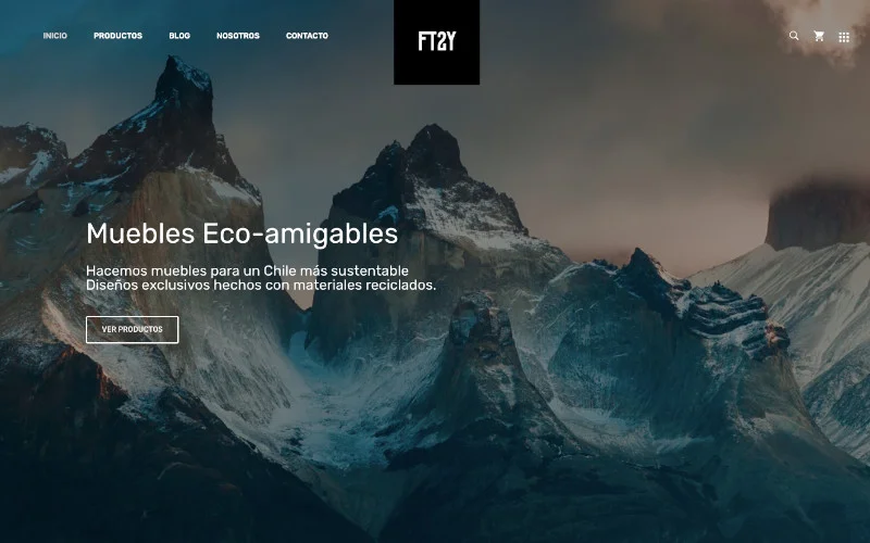 Diseño web profesional de sitio ft2y