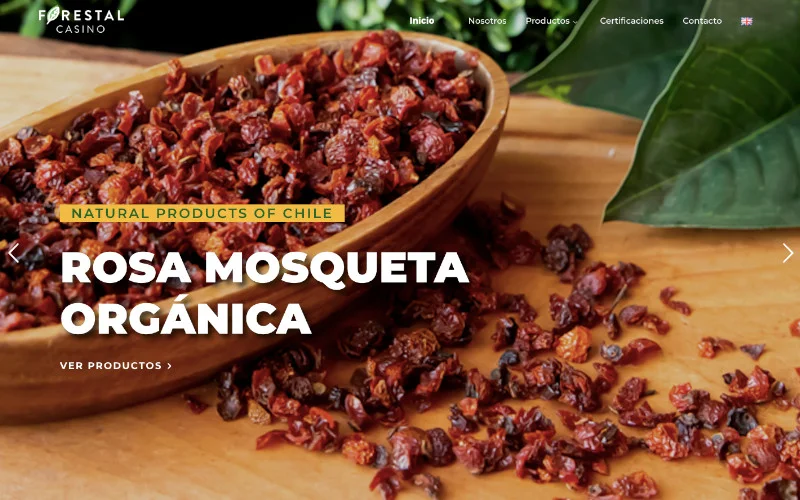Diseño web profesional de sitio Forestal