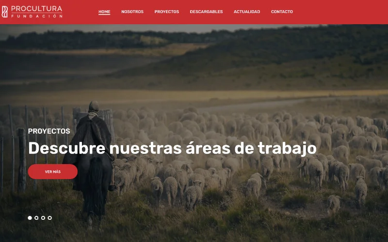 Diseño web profesional de sitio Procultura