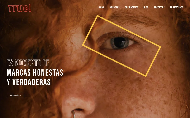 Diseño web profesional de sitio True Brands