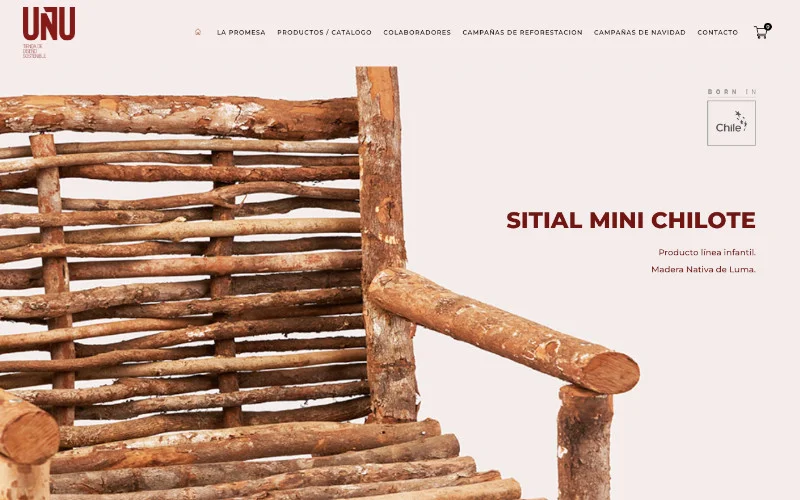 Diseño web profesional de sitio Unu